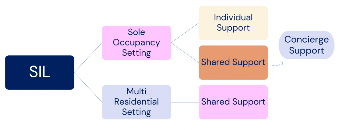 Supported Independent Living Model Of Care Chart