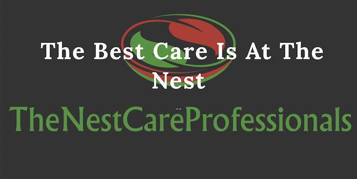 The Nest Care Professionals