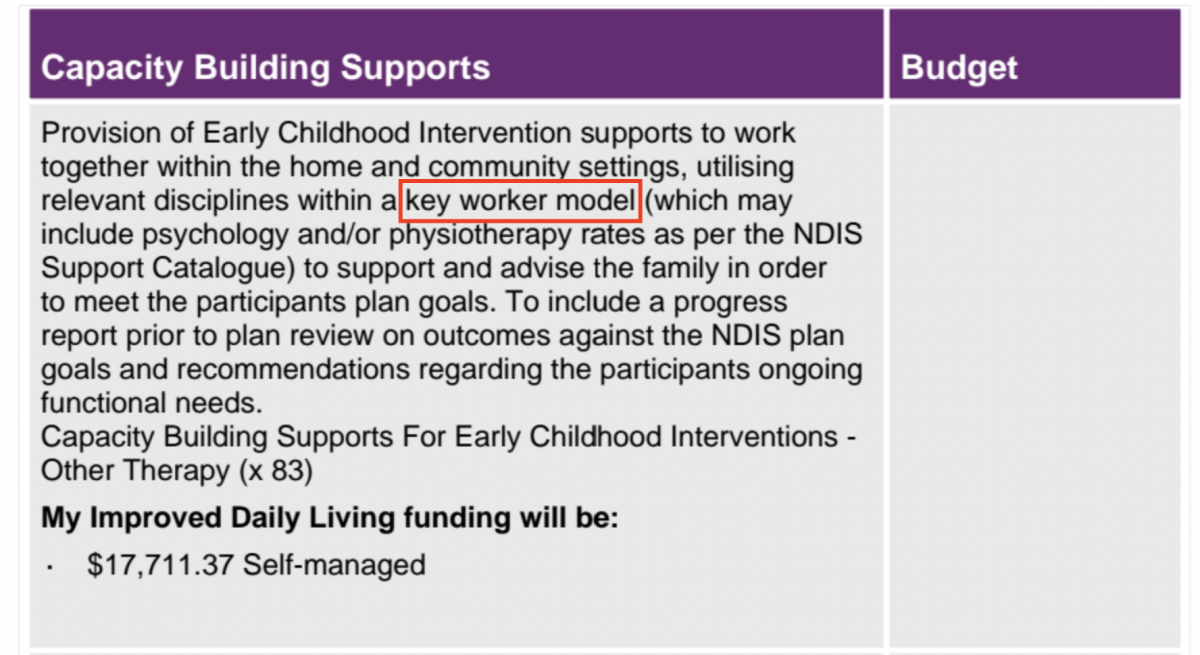 keyworker extract from ndis plan