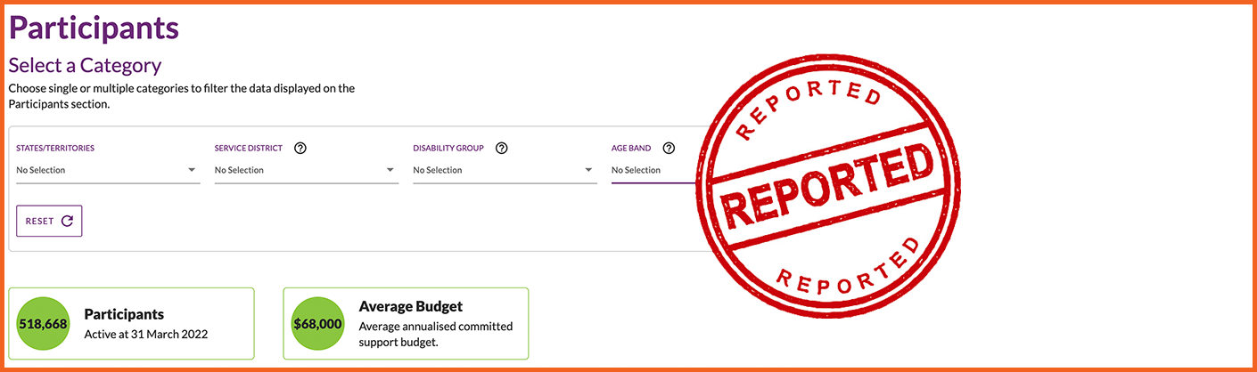 NDIS Data Tool Screenshot