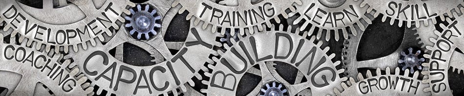 What are the Capacity Building Supports in my NDIS Plan?