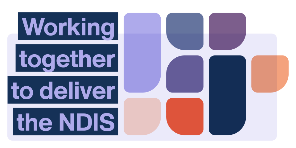 The NDIS Review Summary