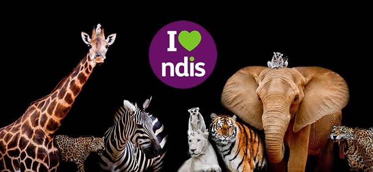 Who's who in the NDIS Zoo
