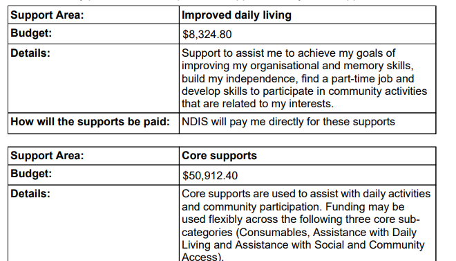 4 Things you absolutely have to do when you receive your NDIS Plan