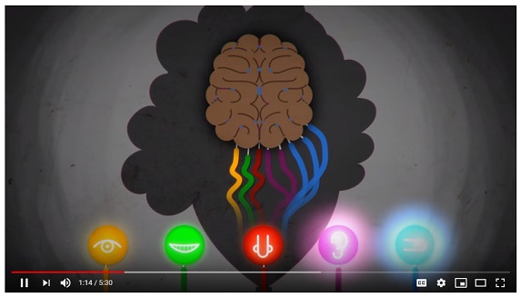 What is autism video placeholder