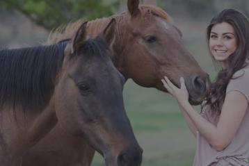 Geelong Equine Assisted Learning