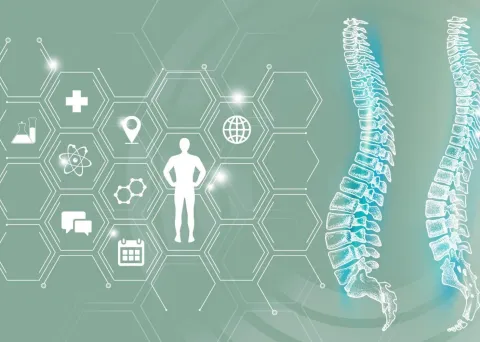 What is a Spinal Cord Injury?
