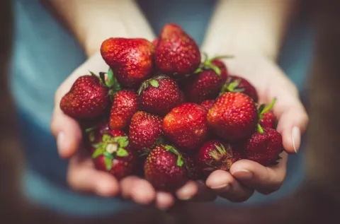 Should you be swapping an anti-depressant for a probiotic?