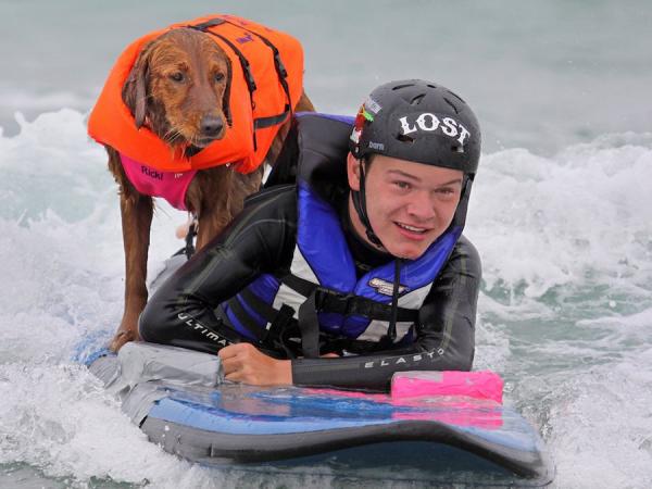 Ricochet the surfing dog balanced on a surfboard with young quadreplegic Patrick